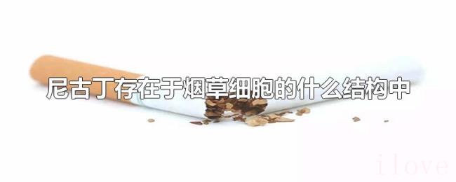 尼古丁存在于烟草细胞的什么结构中