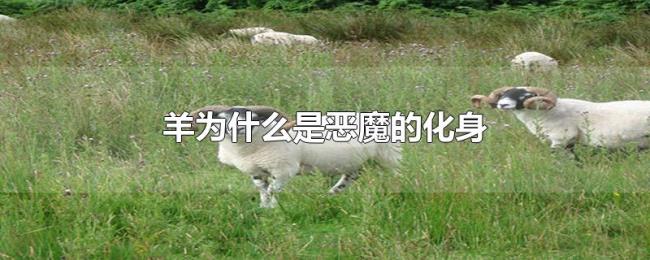 羊为什么是恶魔的化身