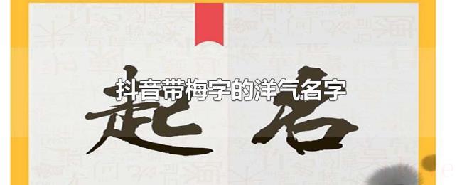 抖音带梅字的洋气名字 抖音带梅字的洋气名字