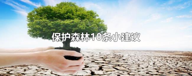 保护森林10条小建议 保护森林10条小建议