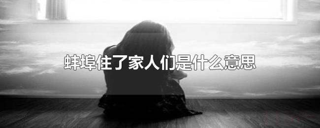 蚌埠住了家人们是什么意思
