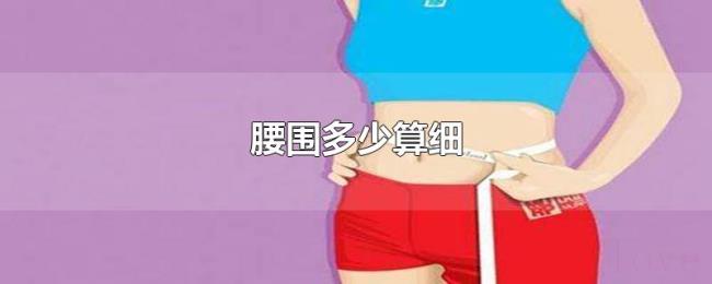 腰围多少算细