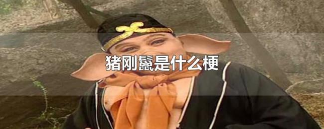猪刚鬣是什么梗 猪刚鬣是什么梗