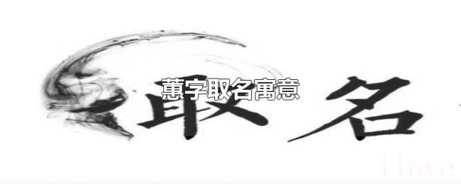 蕙字取名寓意 蕙字取名寓意
