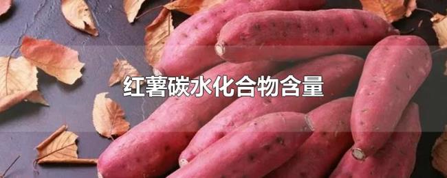 红薯碳水化合物含量