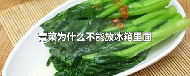 青菜为什么不能放冰箱里面