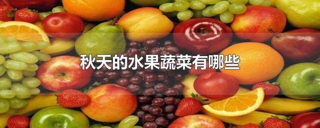 秋天的水果蔬菜有哪些
