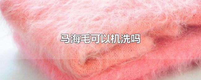 马海毛可以机洗吗 马海毛可以机洗吗