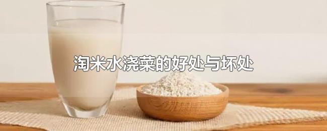 淘米水浇菜的好处与坏处 淘米水浇菜的好处与坏处