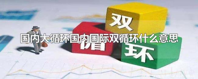 国内大循环国内国际双循环什么意思