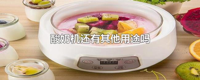 酸奶机还有其他用途吗