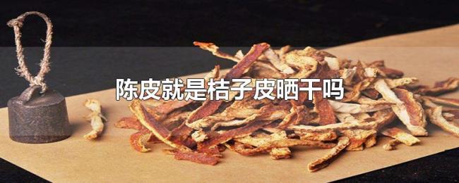 陈皮就是桔子皮晒干吗 陈皮就是桔子皮晒干吗