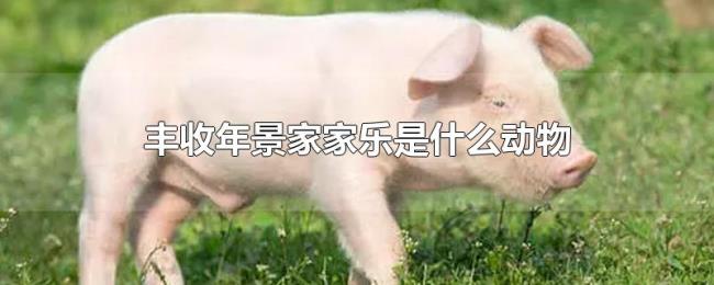 丰收年景家家乐是什么动物