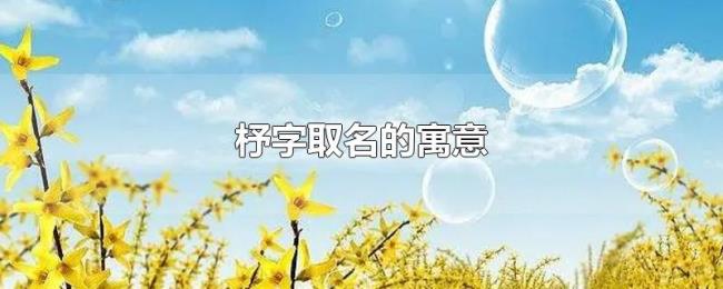杼字取名的寓意