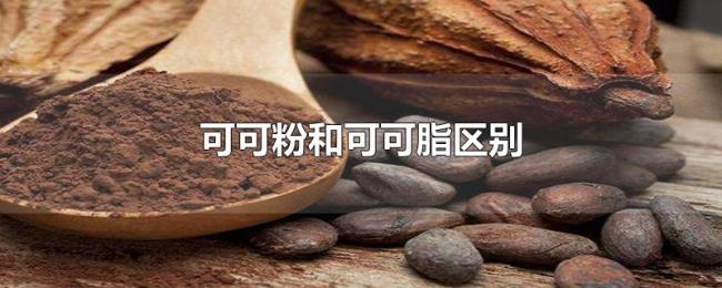 可可粉和可可脂区别