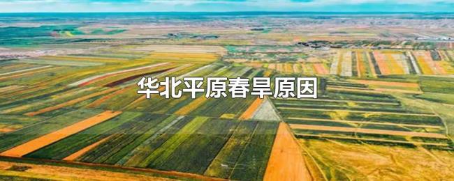 华北平原春旱原因 华北平原春旱原因
