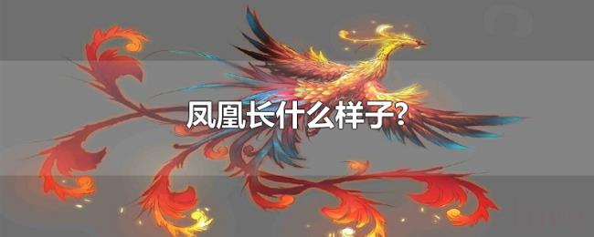 凤凰长什么样子? 凤凰长什么样子?