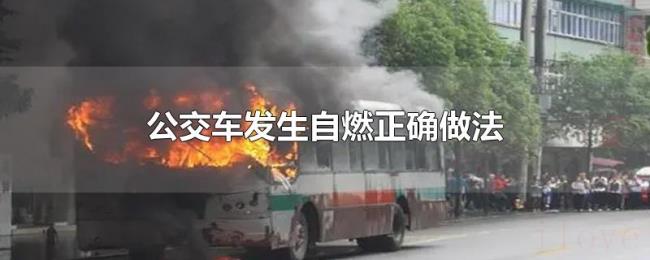 公交车发生自燃正确做法