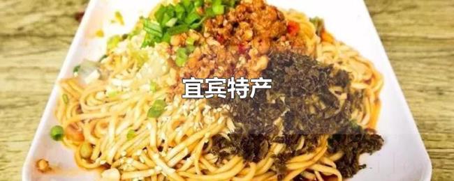 宜宾特产