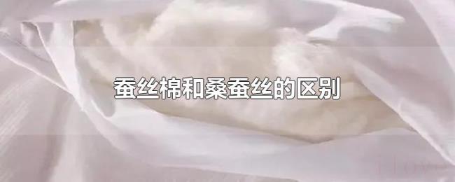 蚕丝棉和桑蚕丝的区别 蚕丝棉和桑蚕丝的区别