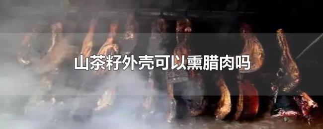 山茶籽外壳可以熏腊肉吗