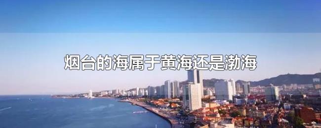 烟台的海属于黄海还是渤海