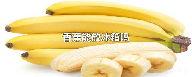 香蕉能放冰箱吗 香蕉能放冰箱吗