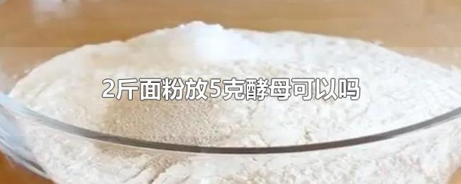 2斤面粉放5克酵母可以吗
