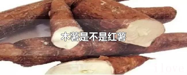 木薯是不是红薯