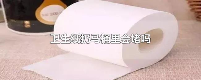 卫生纸扔马桶里会堵吗