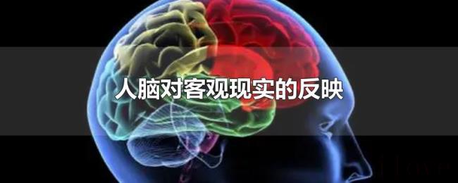 人脑对客观现实的反映