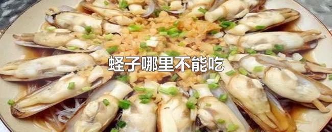 蛏子哪里不能吃