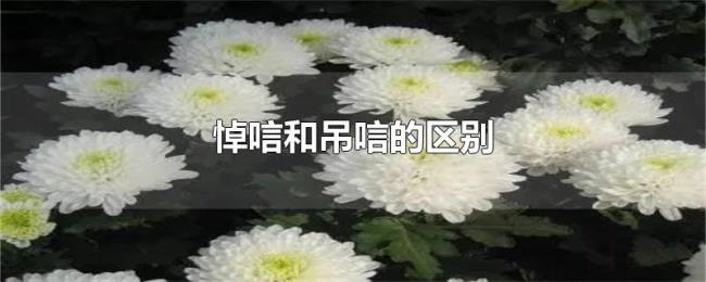 悼唁和吊唁的区别
