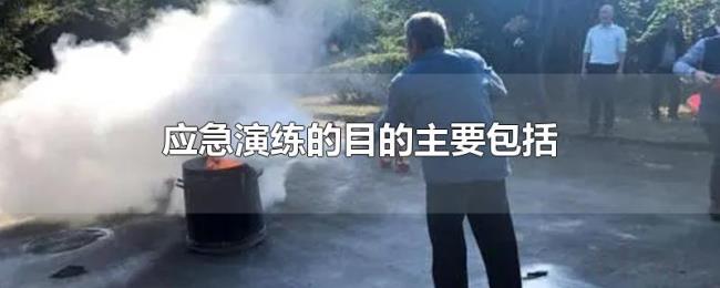 应急演练的目的主要包括