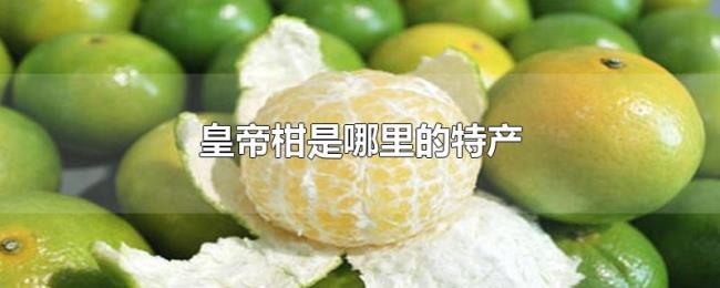皇帝柑是哪里的特产
