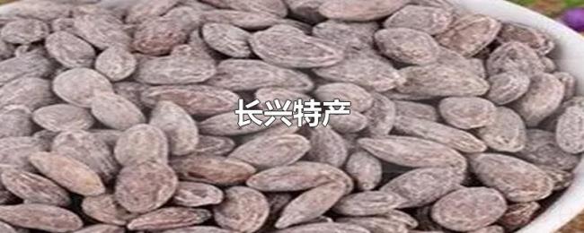 长兴特产