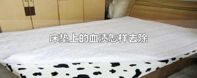 床垫上的血渍怎样去除 床垫上的血渍怎样去除