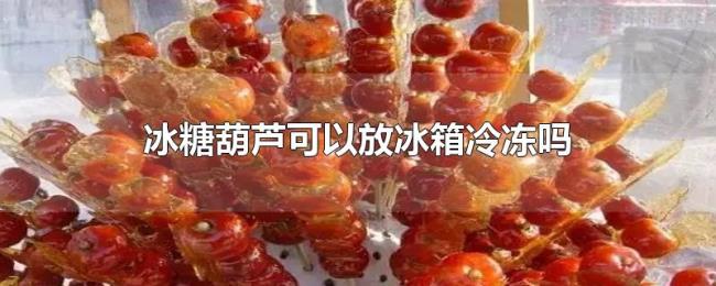 冰糖葫芦可以放冰箱冷冻吗 冰糖葫芦可以放冰箱冷冻吗