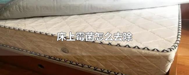 床上霉菌怎么去除