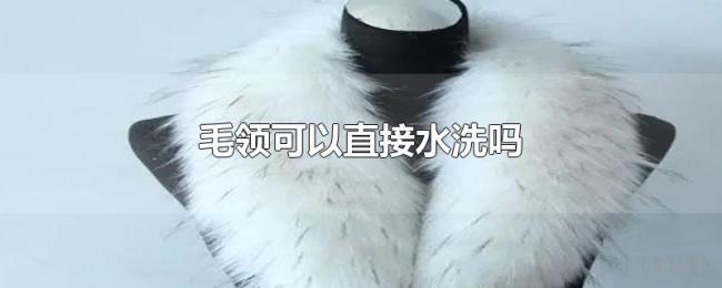 毛领可以直接水洗吗 毛领可以直接水洗吗
