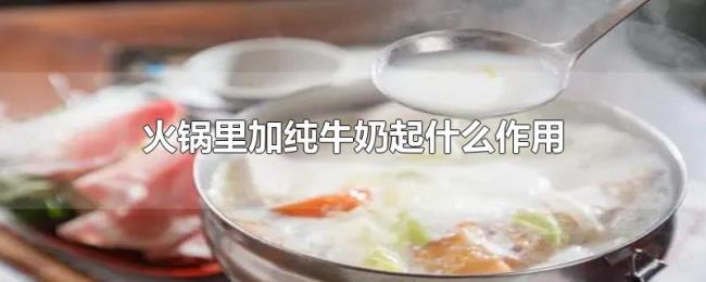 火锅里加纯牛奶起什么作用