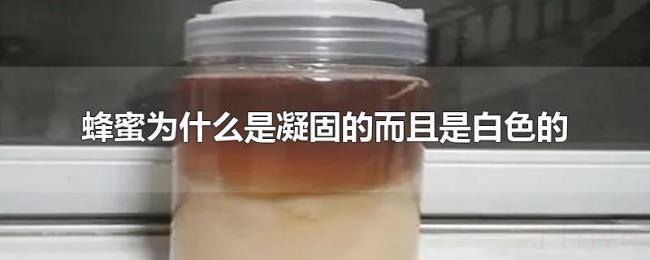 蜂蜜为什么是凝固的而且是白色的