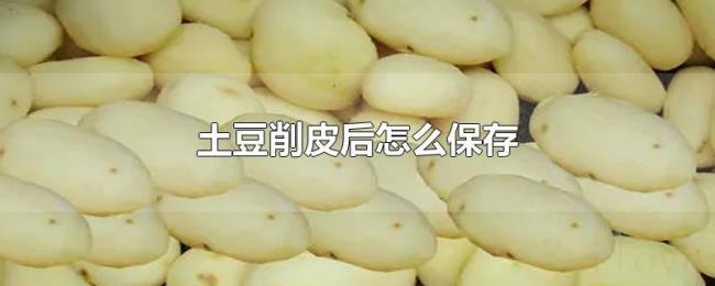 土豆削皮后怎么保存 土豆削皮后怎么保存
