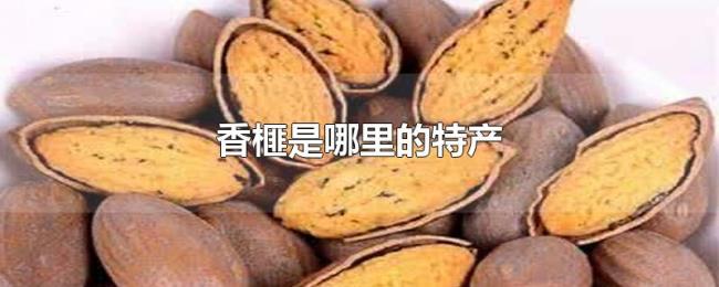 香榧是哪里的特产