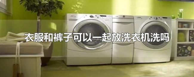 衣服和裤子可以一起放洗衣机洗吗