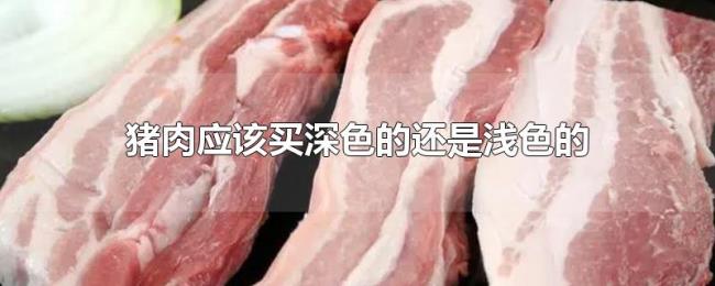 猪肉应该买深色的还是浅色的