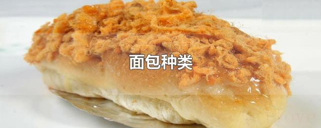 面包种类