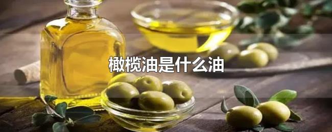 橄榄油是什么油 橄榄油是什么油