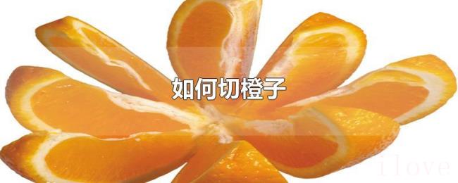 如何切橙子 如何切橙子