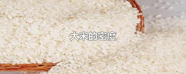 大米的密度